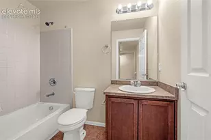 3579 Grey Owl Point, Colorado Springs, CO 80916 - Photo 26