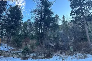 Tbd Wildwood Rd, Cascade, CO 80809 - Photo 1