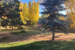 6542 Foxdale Cir, Colorado Springs, CO 80909 - Photo 14