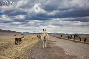 790 Tiara Rd, Lake George, CO 80827 - Photo 32
