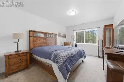 294 Southpark Road, Florissant, CO 80816 - Photo 20