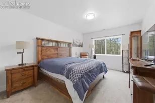 294 Southpark Rd, Florissant, CO 80816 - Photo 20