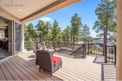 16231 Thunder Cat Way, Monument, CO 80132 - Photo 40