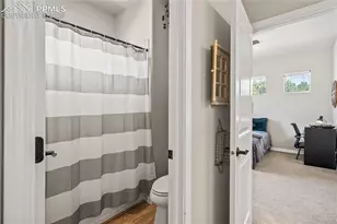 16231 Thunder Cat Wy, Monument, CO 80132 - Photo 28