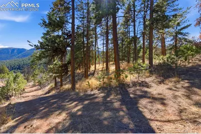 11070 W Highway 24, Cascade, CO 80819 - Photo 36