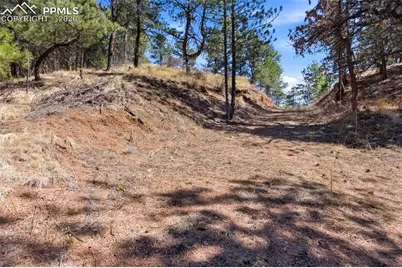 11070 W Highway 24, Cascade, CO 80819 - Photo 40