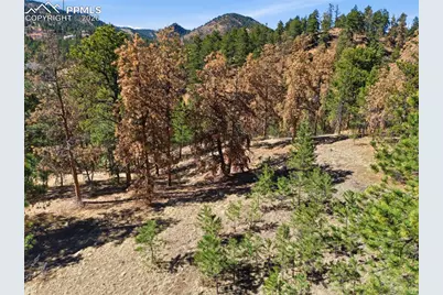 11070 W Highway 24, Cascade, CO 80819 - Photo 14