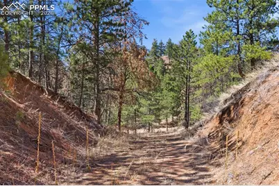 11070 W Highway 24, Cascade, CO 80819 - Photo 30