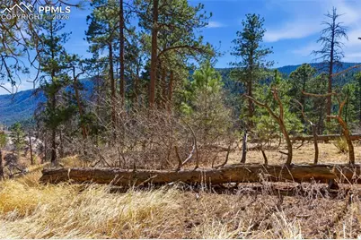 11070 W Highway 24, Cascade, CO 80819 - Photo 34