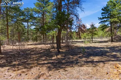 11070 W Highway 24, Cascade, CO 80819 - Photo 36