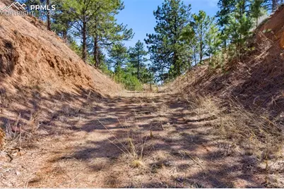 11070 W Highway 24, Cascade, CO 80819 - Photo 38