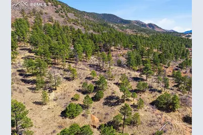 11070 W Highway 24, Cascade, CO 80819 - Photo 10