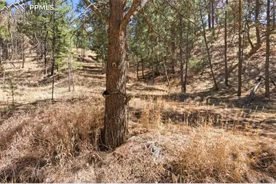 11070 W Highway 24, Cascade, CO 80819 - Photo 42