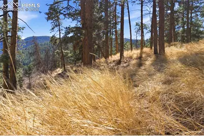 11070 W Highway 24, Cascade, CO 80819 - Photo 24