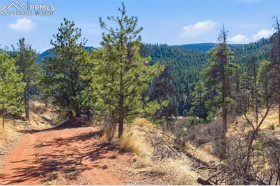 11070 W Highway 24, Cascade, CO 80819 - Photo 22