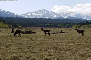 416 Foxtaill Dr, Fairplay, CO 80440 - Photo 28