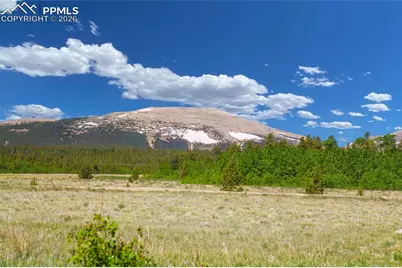 416 Foxtaill Drive, Fairplay, CO 80440 - Photo 10