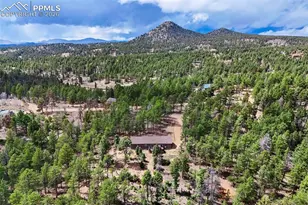858 Fossil Creek Rd, Florissant, CO 80816 - Photo 48
