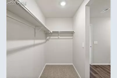 11336 Splake Street, Colorado Springs, CO 80925 - Photo 20