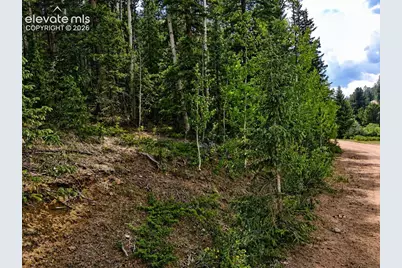 2462 Anges Drive, Cripple Creek, CO 80813 - Photo 1