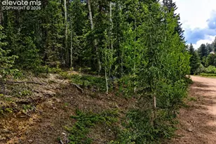 2462 Anges Dr, Cripple Creek, CO 80813 - Photo 1