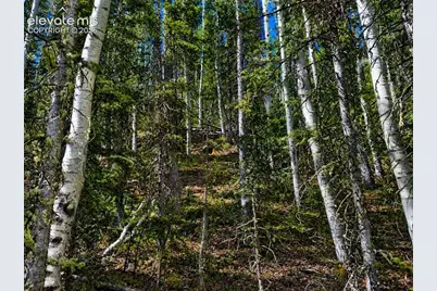 2462 Anges Drive, Cripple Creek, CO 80813 - Photo 6