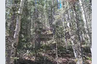 2462 Anges Drive, Cripple Creek, CO 80813 - Photo 6
