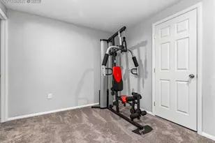 842 Barn Owl Dr, Fountain, CO 80817 - Photo 26