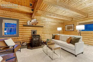 78 Barr Lake Cir, Divide, CO 80814 - Photo 20