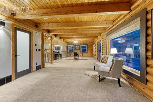 78 Barr Lake Cir, Divide, CO 80814 - Photo 12