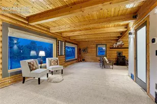78 Barr Lake Cir, Divide, CO 80814 - Photo 10