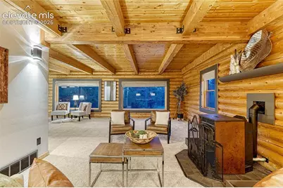 78 Barr Lake Circle, Divide, CO 80814 - Photo 22
