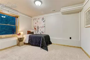 78 Barr Lake Cir, Divide, CO 80814 - Photo 46