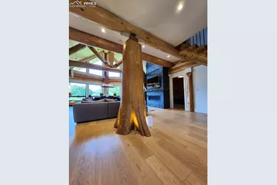 9297 Chipita Park Road, Cascade, CO 80809 - Photo 6