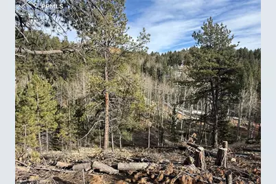 162 Eagle Drive, Divide, CO 80813 - Photo 4