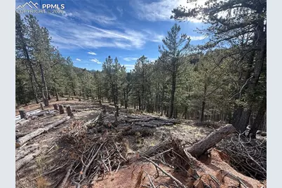 162 Eagle Drive, Divide, CO 80813 - Photo 6