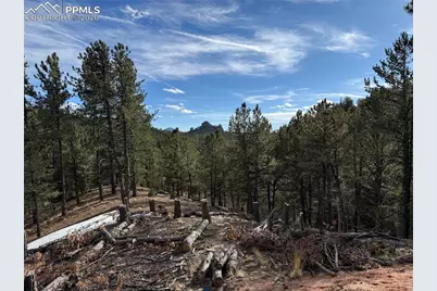 162 Eagle Drive, Divide, CO 80813 - Photo 2