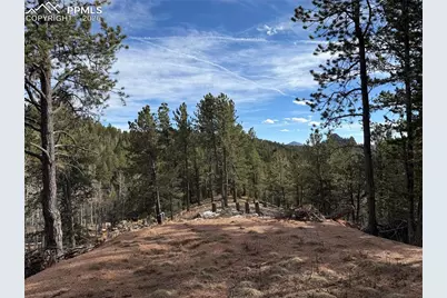 162 Eagle Drive, Divide, CO 80813 - Photo 1