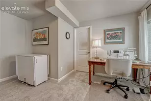 11347 Rill Pt, Colorado Springs, CO 80921 - Photo 32