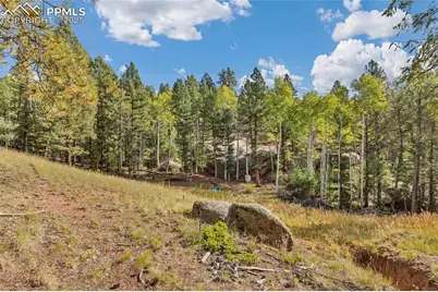 926 Pinon Lane, Florissant, CO 80816 - Photo 10