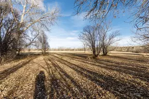 9495 Pony Gulch Way, Colorado Springs, CO 80925 - Photo 40