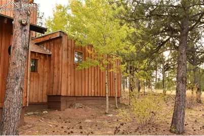 3800 Doe Valley Road, Guffey, CO 80820 - Photo 6