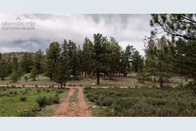 3800 Doe Valley Road, Guffey, CO 80820 - Photo 22