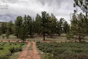 3800 Doe Valley Rd, Guffey, CO 80820 - Photo 22