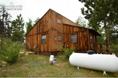3800 Doe Valley Road, Guffey, CO 80820 - Photo 8