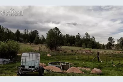 3800 Doe Valley Road, Guffey, CO 80820 - Photo 24