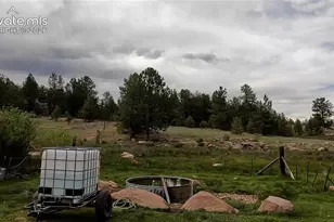 3800 Doe Valley Rd, Guffey, CO 80820 - Photo 24