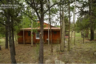 3800 Doe Valley Road, Guffey, CO 80820 - Photo 12