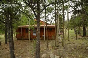 3800 Doe Valley Rd, Guffey, CO 80820 - Photo 12