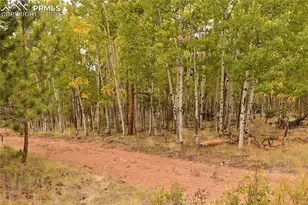 3800 Doe Valley Rd, Guffey, CO 80820 - Photo 26